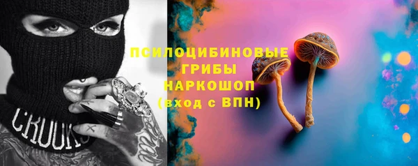 apvp Алексин
