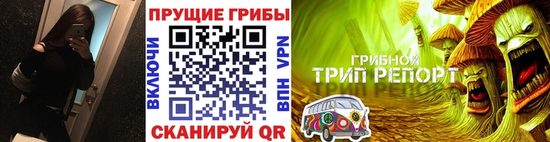 Галлюциногенные грибы MAGIC MUSHROOMS  Новокузнецк 